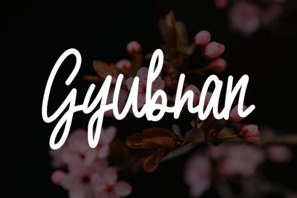 Gyubran: A Script Font That Elevates Web Design