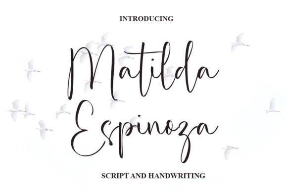 Matilda Espinoza: A Font That Elevates Your Brand